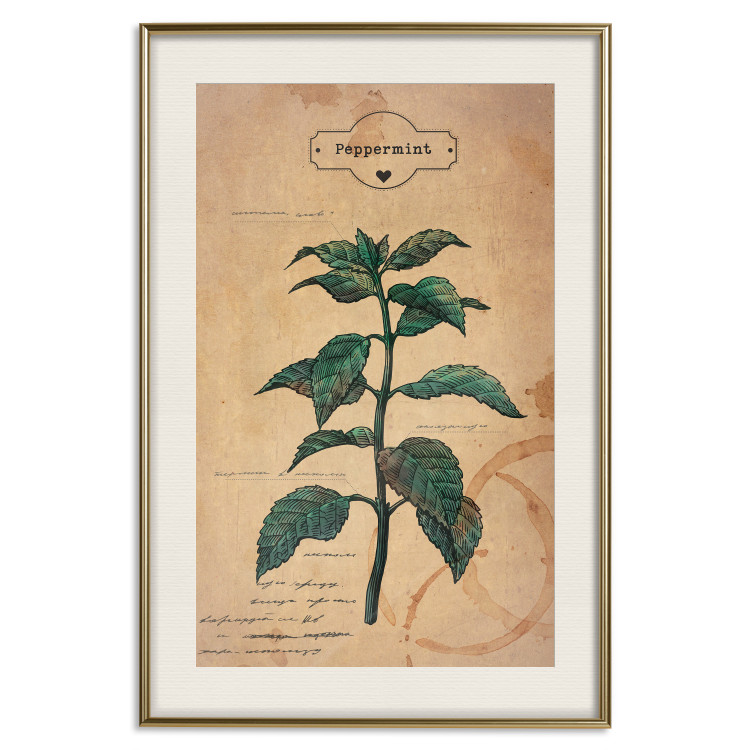 Wall Poster Mint Fantasy - composition with green plant and sheet of paper in background 129423 additionalImage 25