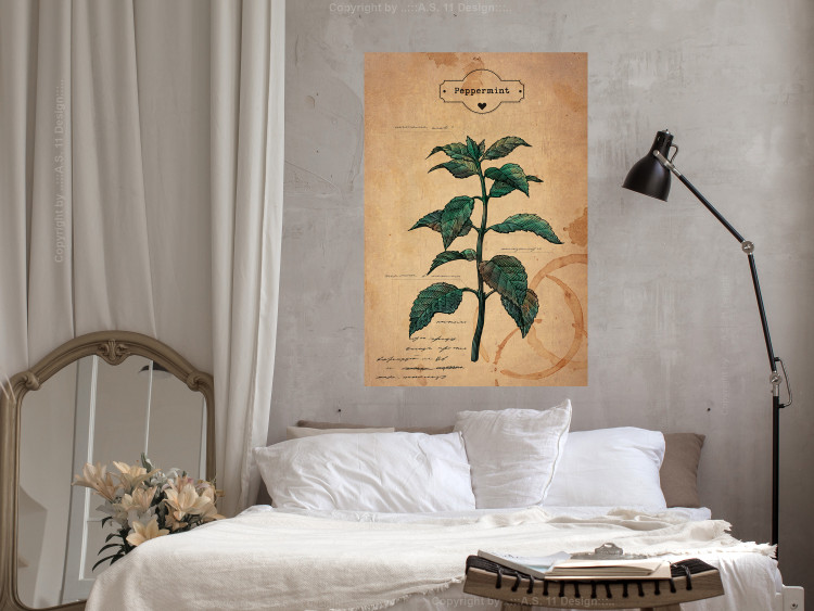 Wall Poster Mint Fantasy - composition with green plant and sheet of paper in background 129423 additionalImage 2