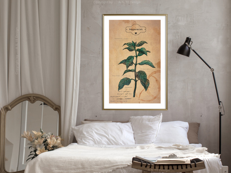 Wall Poster Mint Fantasy - composition with green plant and sheet of paper in background 129423 additionalImage 15