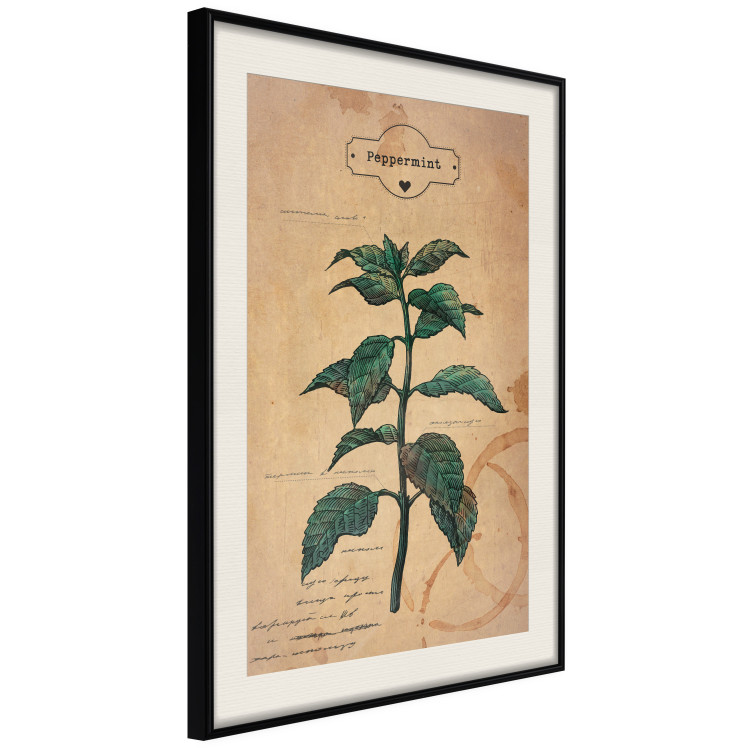 Wall Poster Mint Fantasy - composition with green plant and sheet of paper in background 129423 additionalImage 2