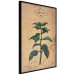 Wall Poster Mint Fantasy - composition with green plant and sheet of paper in background 129423 additionalThumb 11
