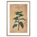 Wall Poster Mint Fantasy - composition with green plant and sheet of paper in background 129423 additionalThumb 26