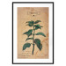 Wall Poster Mint Fantasy - composition with green plant and sheet of paper in background 129423 additionalThumb 27