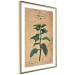 Wall Poster Mint Fantasy - composition with green plant and sheet of paper in background 129423 additionalThumb 7