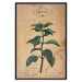 Wall Poster Mint Fantasy - composition with green plant and sheet of paper in background 129423 additionalThumb 17