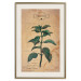 Wall Poster Mint Fantasy - composition with green plant and sheet of paper in background 129423 additionalThumb 25
