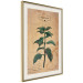 Wall Poster Mint Fantasy - composition with green plant and sheet of paper in background 129423 additionalThumb 3