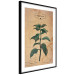 Wall Poster Mint Fantasy - composition with green plant and sheet of paper in background 129423 additionalThumb 8