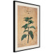 Wall Poster Mint Fantasy - composition with green plant and sheet of paper in background 129423 additionalThumb 2