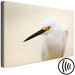 Canvas Print Snowy Egret (1-piece) Wide - white bird with a yellow element 129823 additionalThumb 6