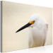 Canvas Print Snowy Egret (1-piece) Wide - white bird with a yellow element 129823 additionalThumb 2