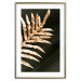 Wall Poster Magical Fern - golden fern leaf composition on a black background 130523 additionalThumb 16