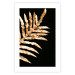 Wall Poster Magical Fern - golden fern leaf composition on a black background 130523 additionalThumb 25