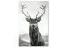 Canvas Lord of Autumn (1-piece) Vertical - black and white animal portrait 130723