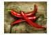 Wall Mural Spicy Flavours - Chili Peppers with Stems on a Wooden Board 59823 additionalThumb 1