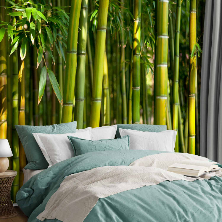 Wall Mural Orient - bright motif with close-up on bamboos and exotic leaves 88723 additionalImage 2