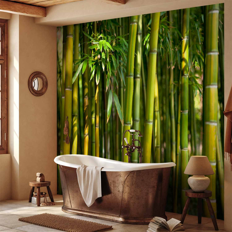 Wall Mural Orient - bright motif with close-up on bamboos and exotic leaves 88723 additionalImage 8