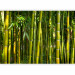 Wall Mural Orient - bright motif with close-up on bamboos and exotic leaves 88723 additionalThumb 1