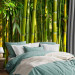 Wall Mural Orient - bright motif with close-up on bamboos and exotic leaves 88723 additionalThumb 2