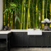 Wall Mural Orient - bright motif with close-up on bamboos and exotic leaves 88723 additionalThumb 6
