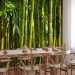 Wall Mural Orient - bright motif with close-up on bamboos and exotic leaves 88723 additionalThumb 4