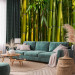 Wall Mural Orient - bright motif with close-up on bamboos and exotic leaves 88723