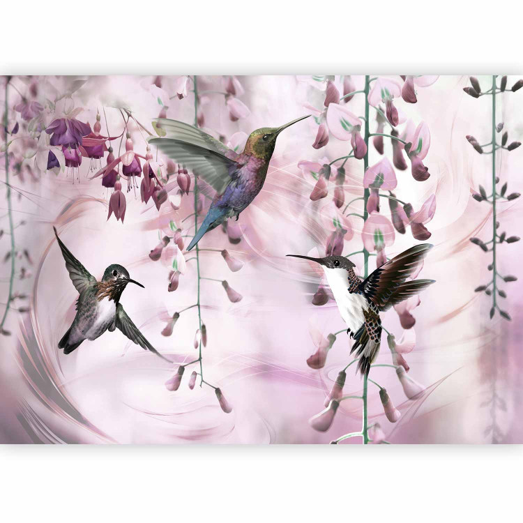 Photo Wallpaper Flying birds - motif of hummingbirds among flowers in pink shades 108033 additionalImage 1