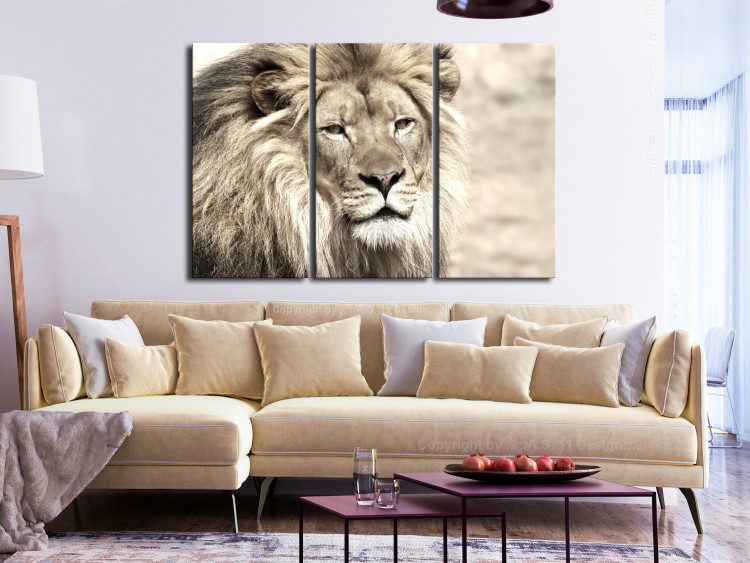 Canvas Art Print Lion King (3-part) Beige - Lion as Ruler of African Lands 108233 additionalImage 3