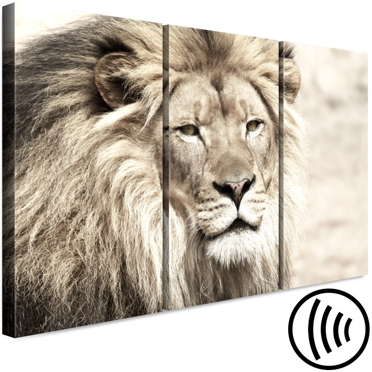 Canvas Art Print Lion King (3-part) Beige - Lion as Ruler of African Lands 108233 additionalImage 6