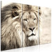 Canvas Art Print Lion King (3-part) Beige - Lion as Ruler of African Lands 108233 additionalThumb 2