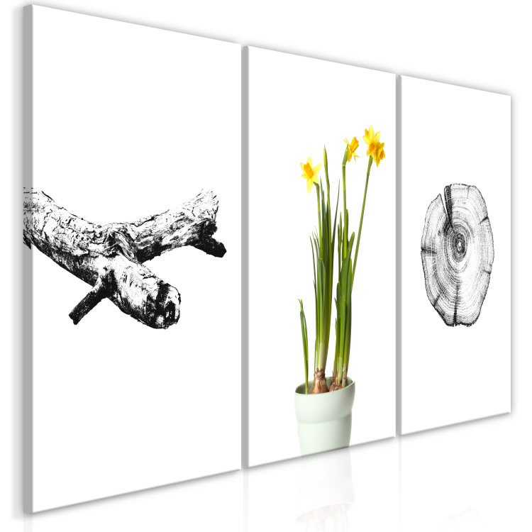 Canvas Art Print Nature (Collection) 116833 additionalImage 2