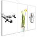 Canvas Art Print Nature (Collection) 116833 additionalThumb 2