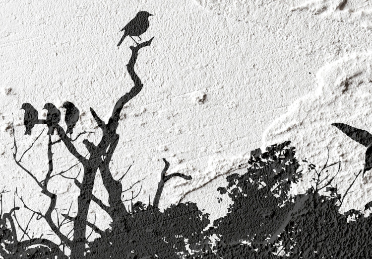 Canvas Print Bird Sanctuary (1-part) - Tree Shadow on Black and White Texture 117233 additionalImage 5