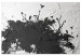 Canvas Print Bird Sanctuary (1-part) - Tree Shadow on Black and White Texture 117233