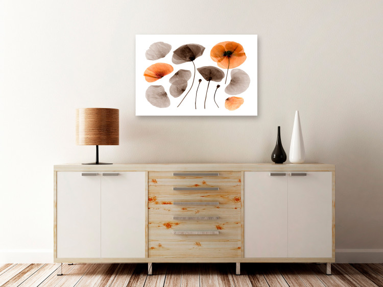 Canvas Print Herbarium poppies - commemorating the beauty of nature and vegetation 118233 additionalImage 3