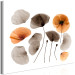 Canvas Print Herbarium poppies - commemorating the beauty of nature and vegetation 118233 additionalThumb 2