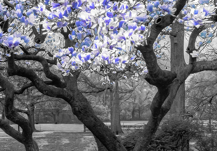 Large canvas print Magnolia Park - Violet [Large Format] 128633 additionalImage 4