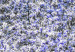 Large canvas print Magnolia Park - Violet [Large Format] 128633 additionalThumb 5