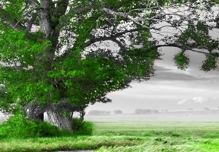Large canvas print Tree near the Road - Green [Large Format] 128733 additionalImage 4