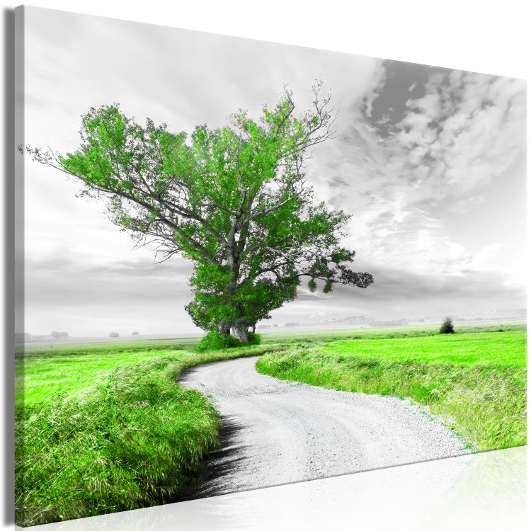 Large canvas print Tree near the Road - Green [Large Format] 128733 additionalImage 3