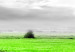 Large canvas print Tree near the Road - Green [Large Format] 128733 additionalThumb 5