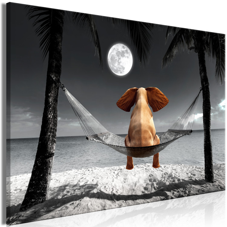 Canvas Print Elephant on a Hammock (1-part) wide - fantasy animal on a beach 128833 additionalImage 2