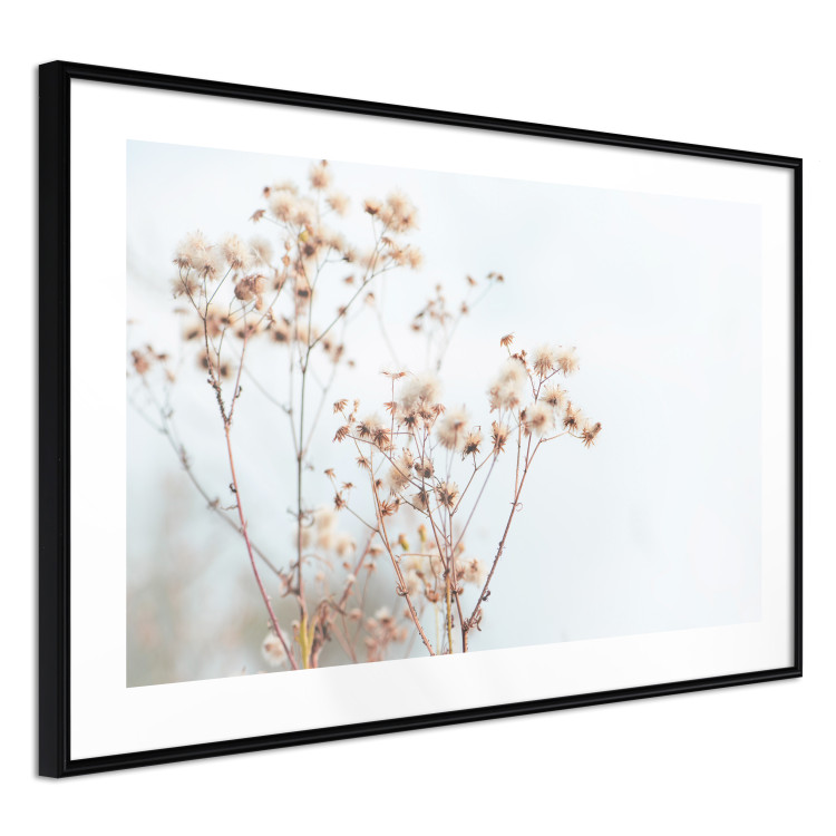 Poster Cloudy Morning - plant landscape against a blurred background of bright sky 129833 additionalImage 2