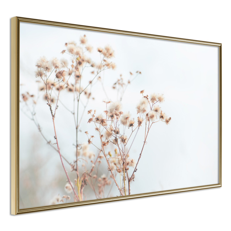Poster Cloudy Morning - plant landscape against a blurred background of bright sky 129833 additionalImage 10