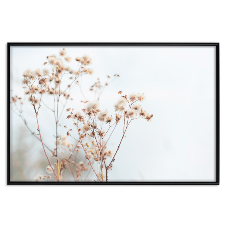 Poster Cloudy Morning - plant landscape against a blurred background of bright sky 129833 additionalImage 18
