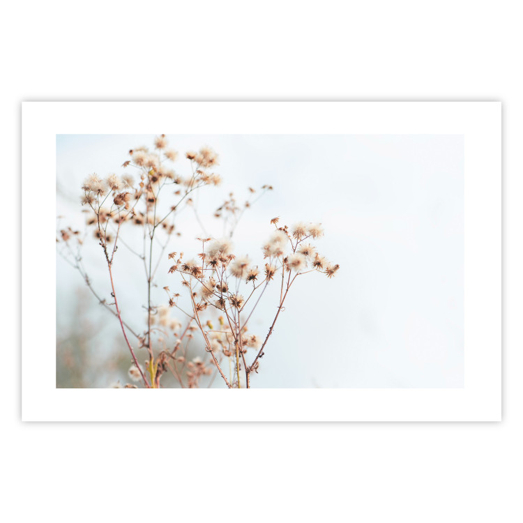 Poster Cloudy Morning - plant landscape against a blurred background of bright sky 129833 additionalImage 19