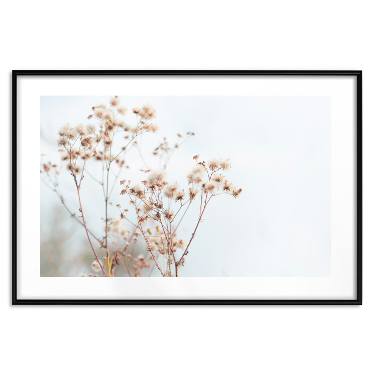 Poster Cloudy Morning - plant landscape against a blurred background of bright sky 129833 additionalImage 15