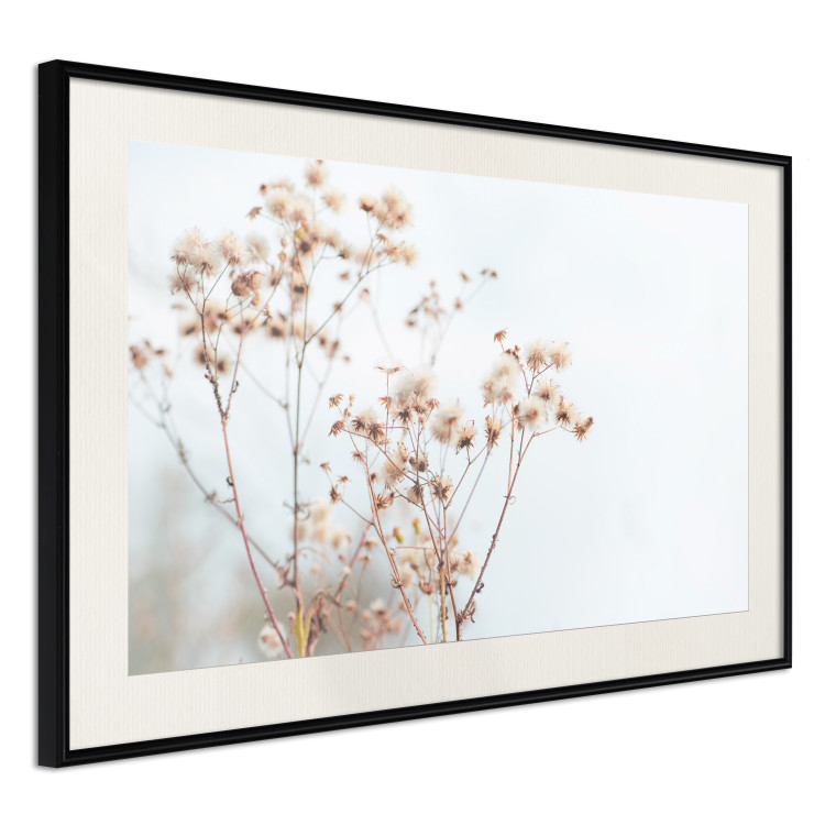 Poster Cloudy Morning - plant landscape against a blurred background of bright sky 129833 additionalImage 4