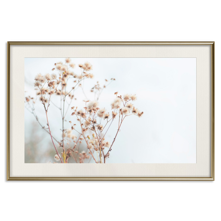 Poster Cloudy Morning - plant landscape against a blurred background of bright sky 129833 additionalImage 20