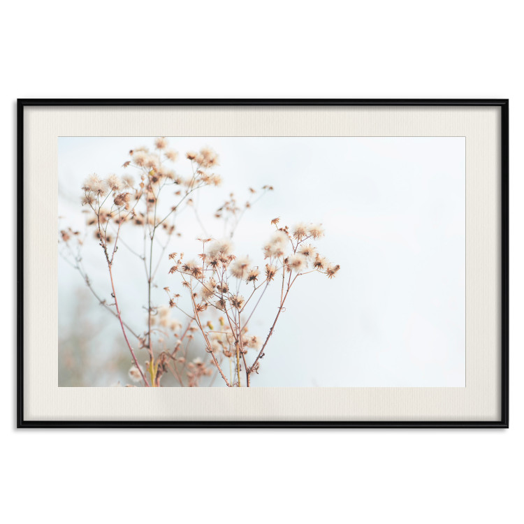 Poster Cloudy Morning - plant landscape against a blurred background of bright sky 129833 additionalImage 19